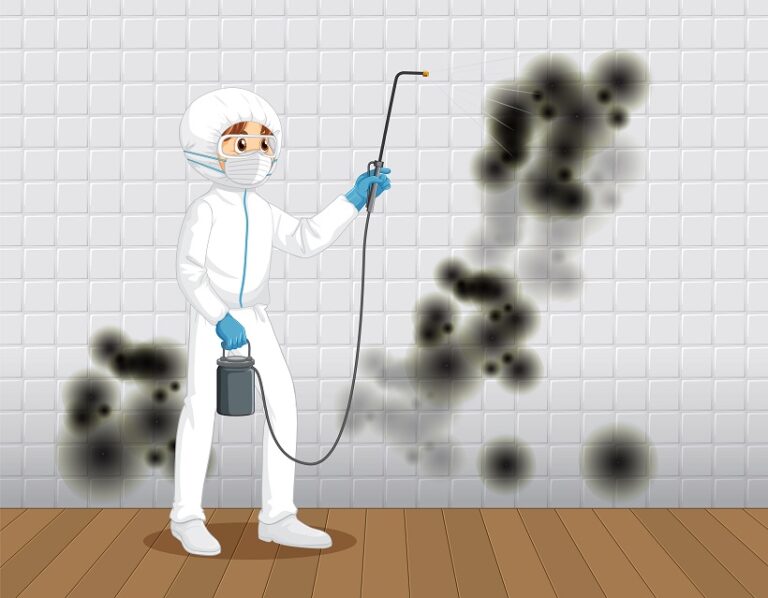 5 Signs of Mold in Your Home and How to Remediate It