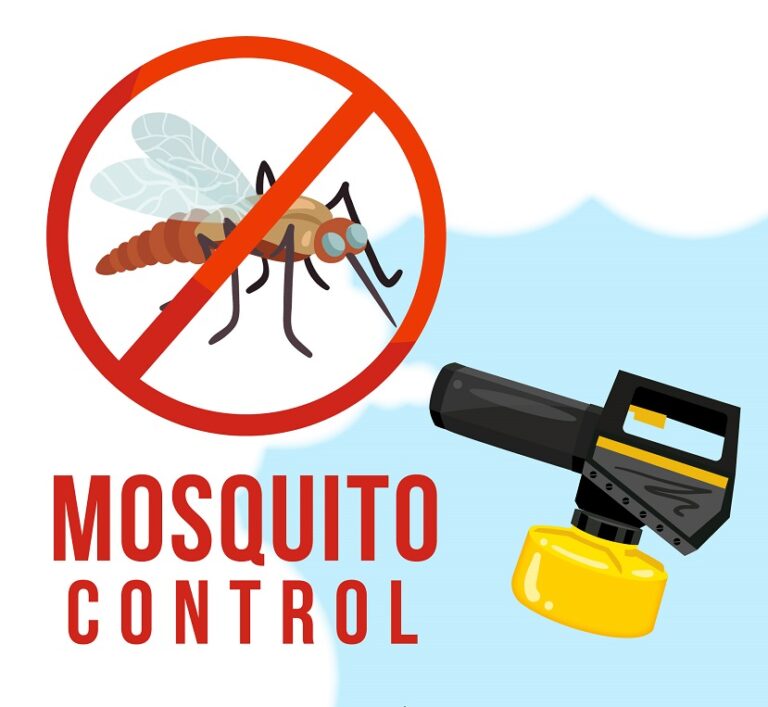 Effective Mosquito Control: Chemical vs. Natural Treatments