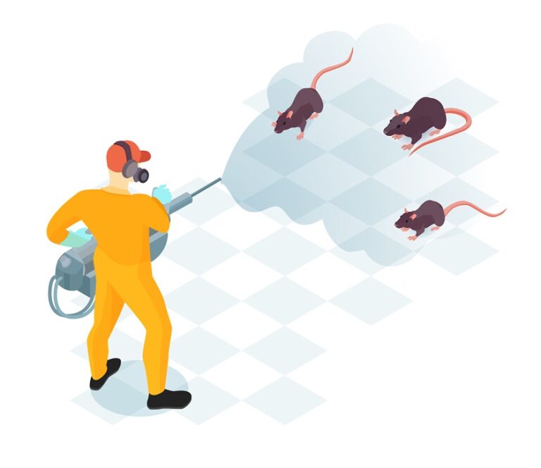 Rat Management Solutions: Safeguarding Your Home Environment