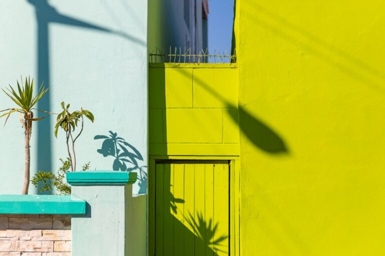 Bold and Vibrant: Color Trends for Outdoor Spaces in 2024