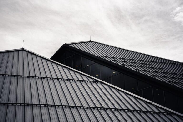 DIY vs. Professional Metal Roof Leak Repair: Pros and Cons