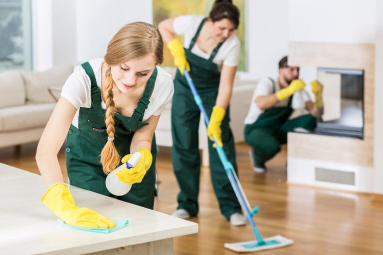 A Comprehensive Apartment Cleaning Checklist for Maximum Efficiency