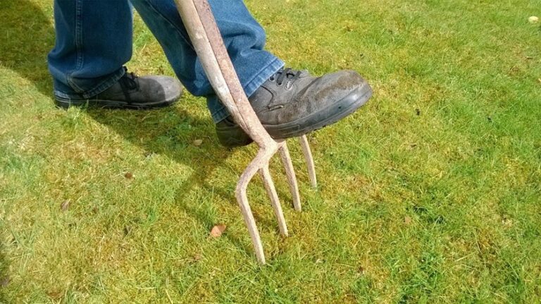 Why Professional Lawn Overseeders is Needed for Your Home Garden