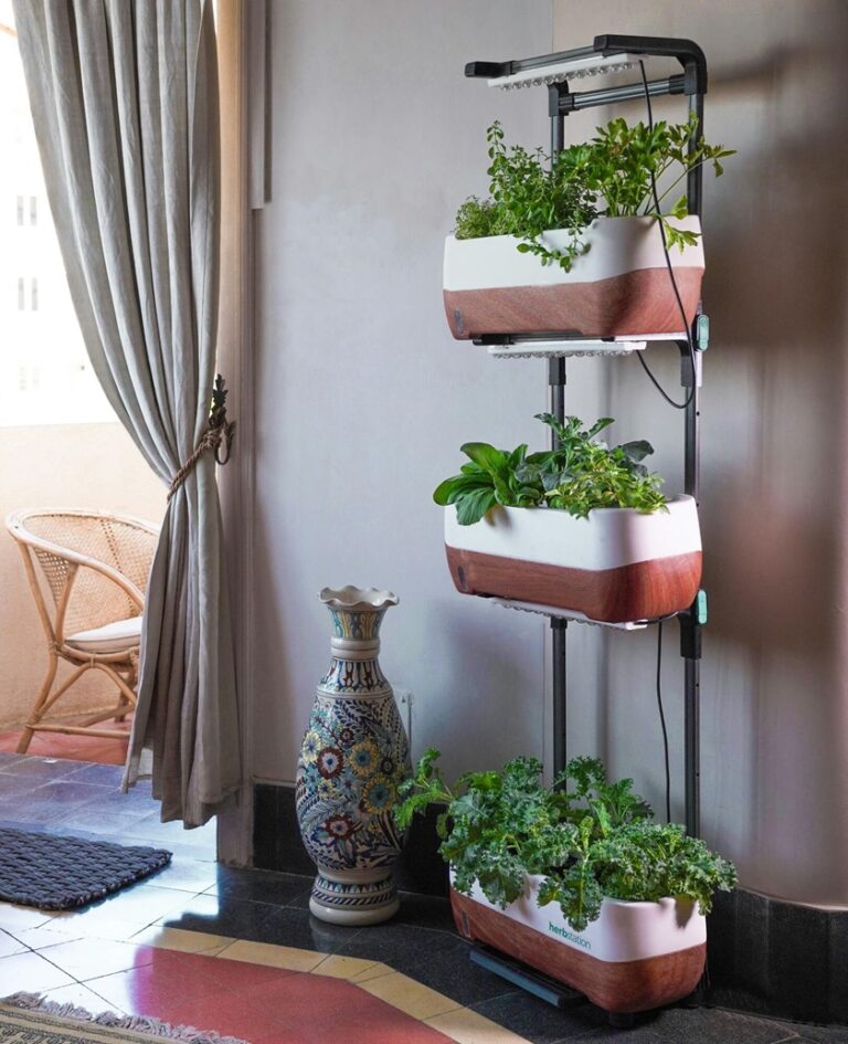 Revolutionize Your Urban Gardening with a Vertical Tower Garden