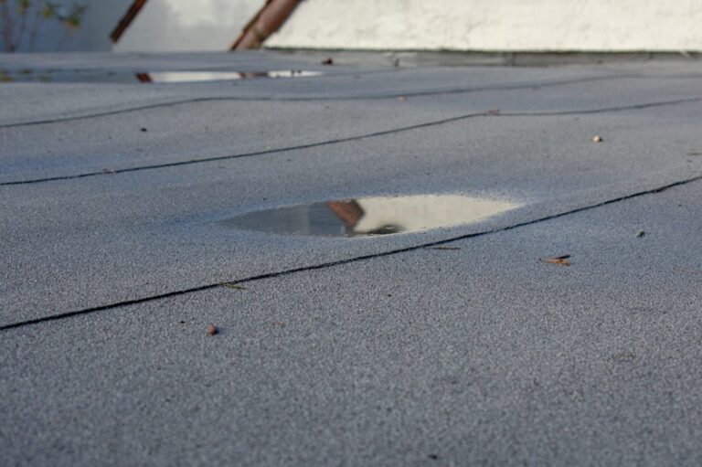 From Design to Installation: The Ultimate Guide to Choosing a Flat Roof Specialist
