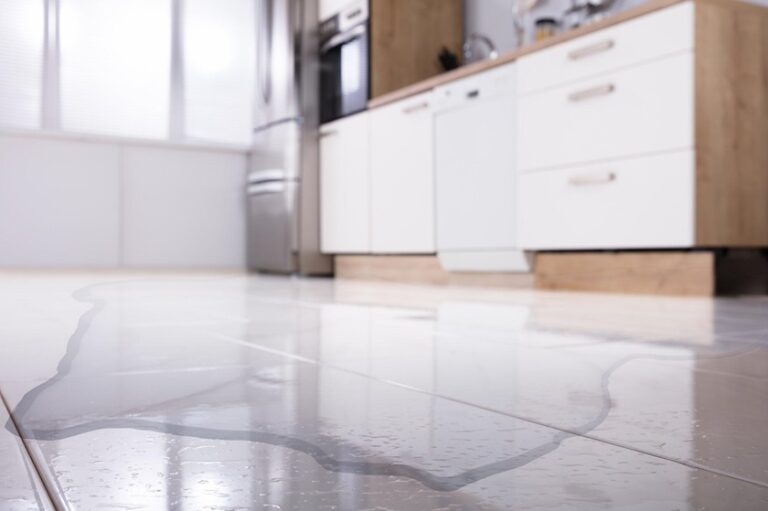 From Leaks to Mold: Understanding the Hazards of Water Damage in Your Small Old House