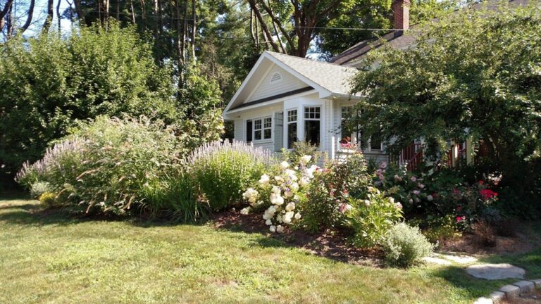 The Benefits of Regular Lawn Maintenance