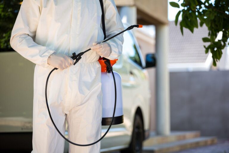 The Ultimate Guide to Hiring a Pest Exterminator: What You Need to Know