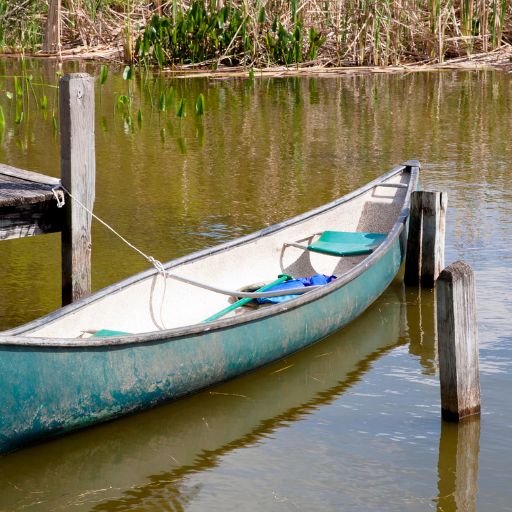 Canoe