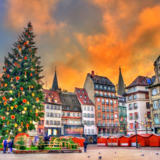 Christmas Tree for Cathedrals or Event Halls