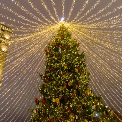 Christmas Tree for Large Venues