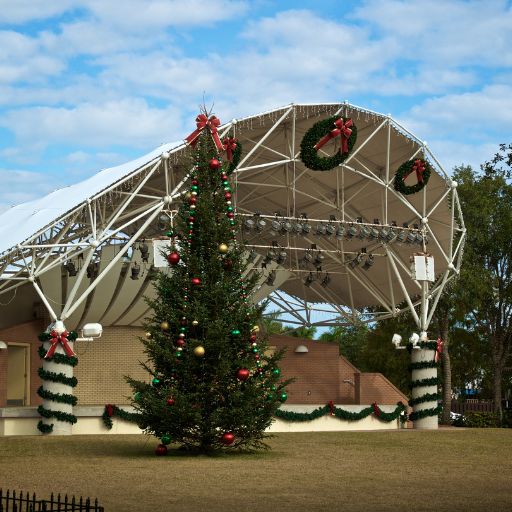 Christmas Tree for Public Displays