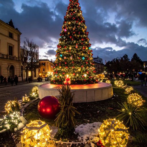 Christmas Tree for Public Venues