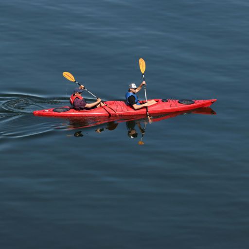 Kayak or Canoe