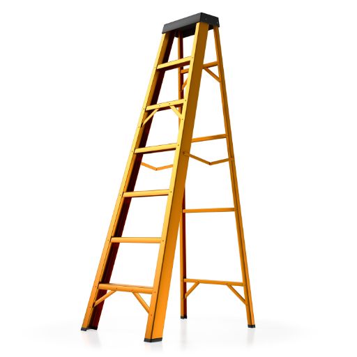 Standard Ladder