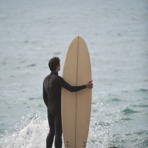 Surfboard (Longboard)