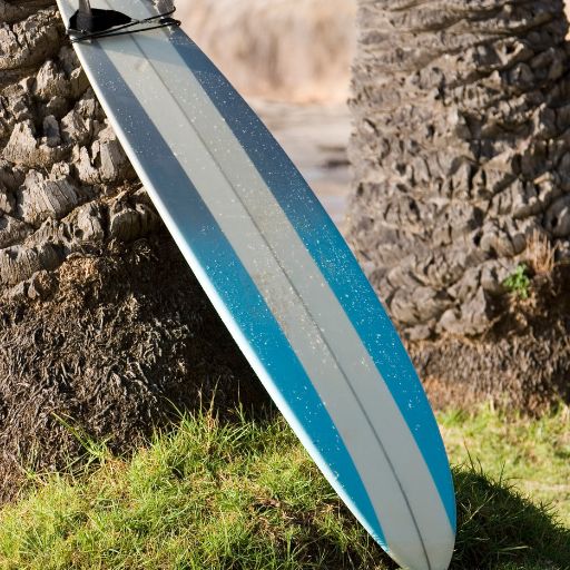 Surfboard (Performance Longboard)