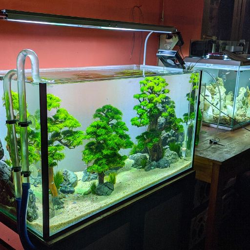 Three-Foot Aquarium
