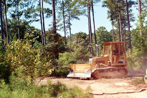 Essential Site Preparation and Infrastructure for New Builds